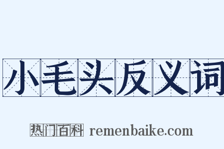 小毛头反义词是什么意思的图片